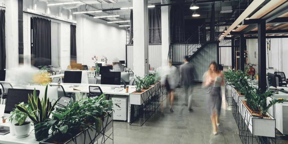 one of the world's best office fitouts, featuring a highly functional floor plan and lots of plants